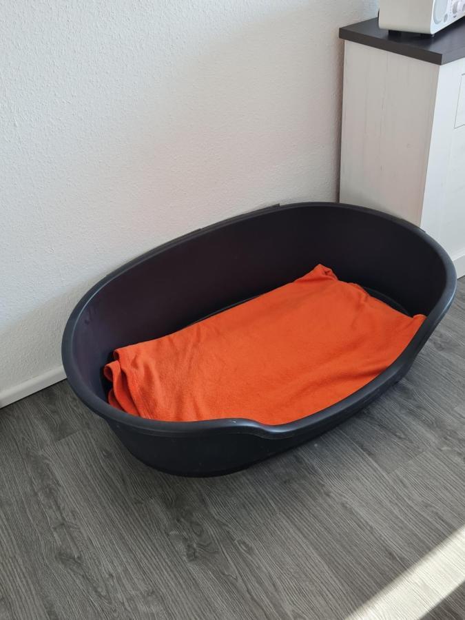 Ferienwohnung Annett & Matthias Hahnenklee Goslar Zewnętrze zdjęcie